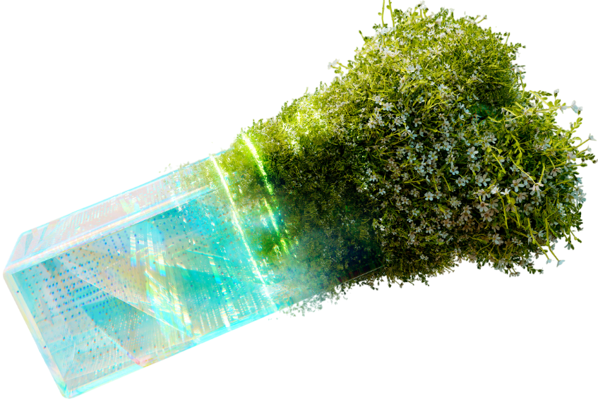 Transformations externes 2 communication digitale