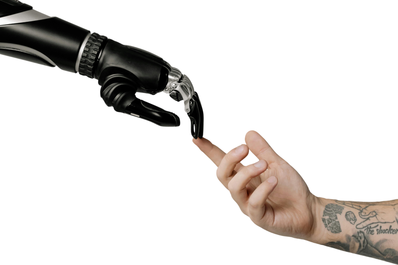 Transformations externes 1 pexels cottonbro 6153354